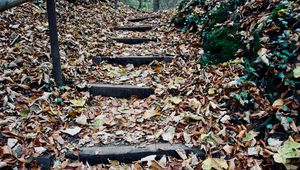 Превью обои осень, листва, лестница