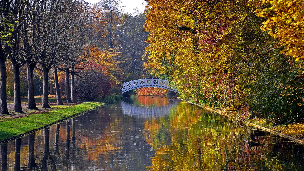 Обои осень, мост, река, парк, деревья, отражение