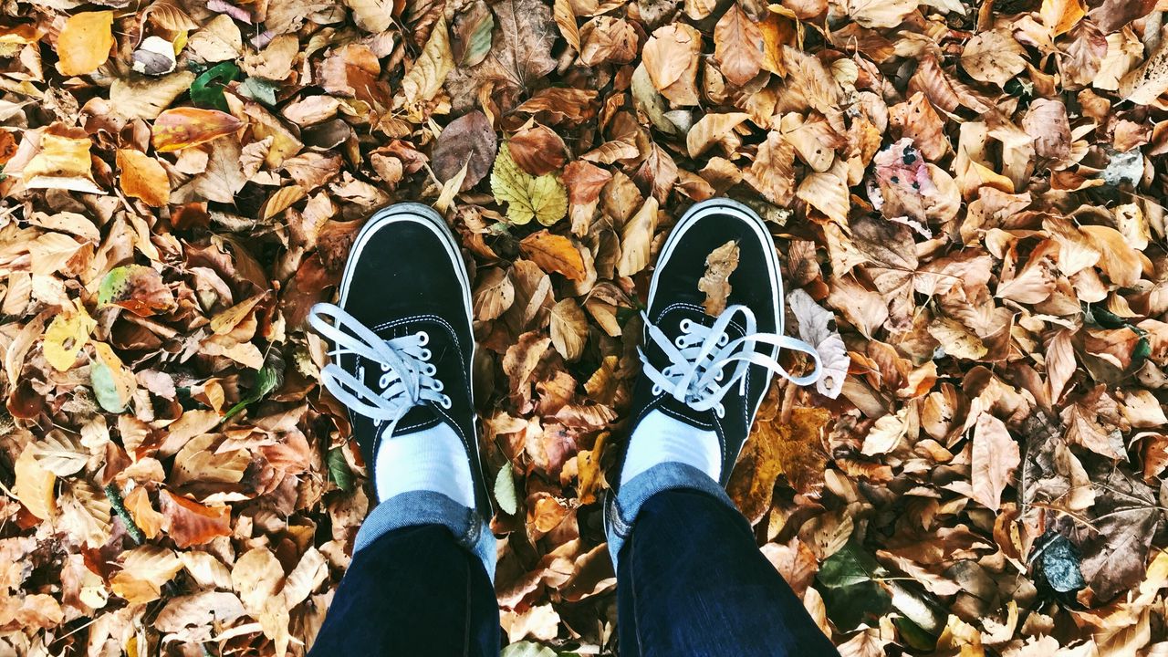 Обои осень, ноги, листва, опавший