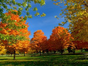 Превью обои осень, парк, деревья, листья, скамейка, пикник