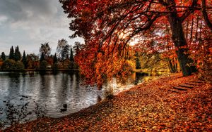 Превью обои осень, парк, листва, озеро