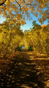 Превью обои осень, парк, скамейки, листва, пейзаж