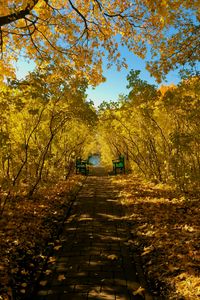 Превью обои осень, парк, скамейки, листва, пейзаж