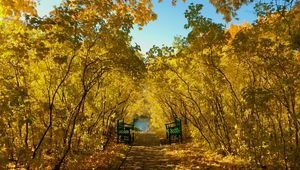 Превью обои осень, парк, скамейки, листва, пейзаж