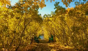 Превью обои осень, парк, скамейки, листва, пейзаж