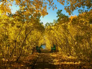 Превью обои осень, парк, скамейки, листва, пейзаж