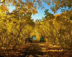 Превью обои осень, парк, скамейки, листва, пейзаж