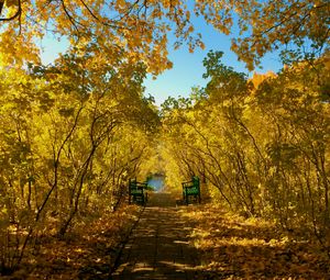 Превью обои осень, парк, скамейки, листва, пейзаж