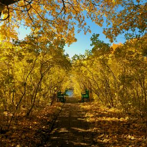 Превью обои осень, парк, скамейки, листва, пейзаж