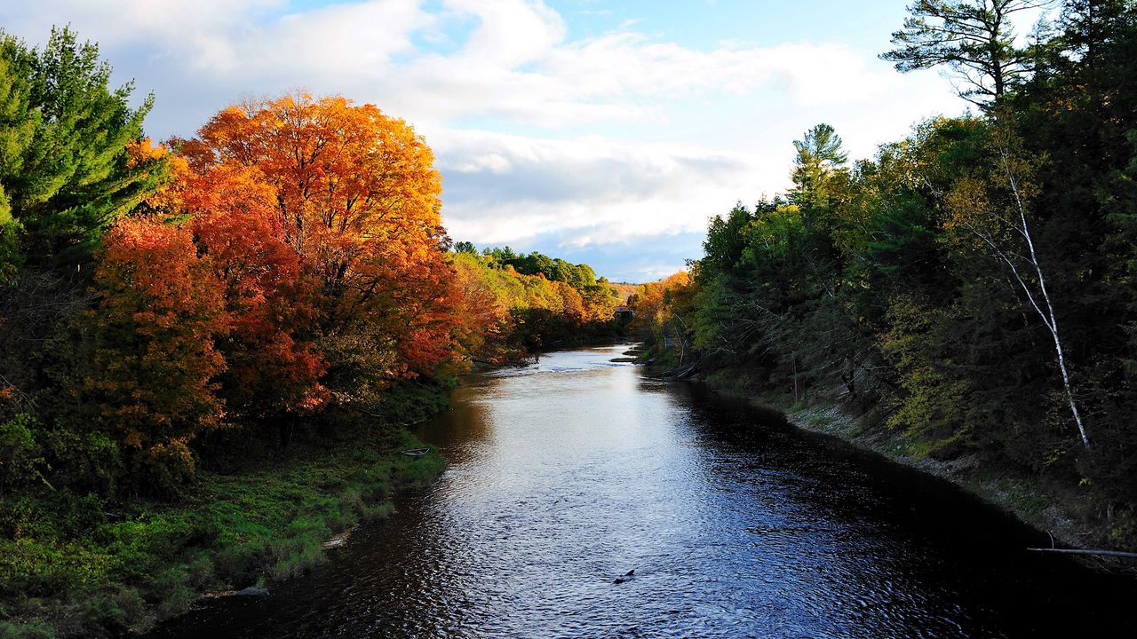 Обои осень, река, деревья, природа