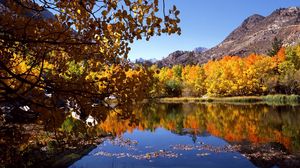 Превью обои осень, река, деревья, листья