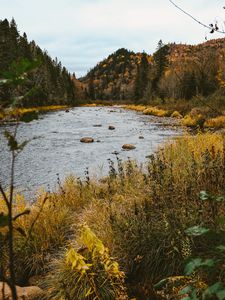 Превью обои осень, река, холмы, лес