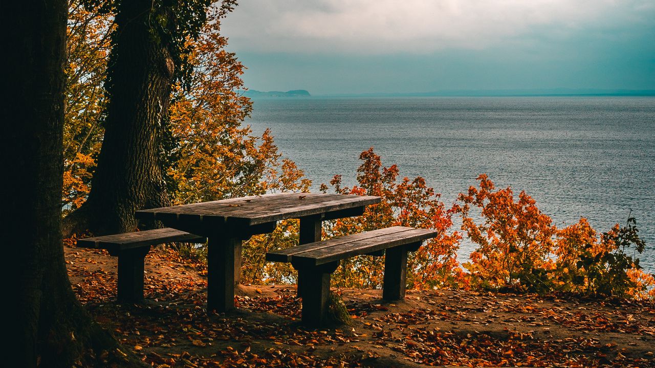 Обои осень, скамейки, стол, море, берег, деревья, листва