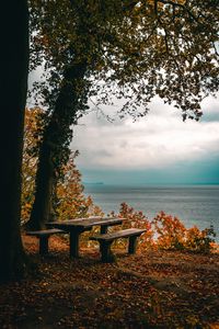 Превью обои осень, скамейки, стол, море, берег, деревья, листва
