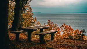 Превью обои осень, скамейки, стол, море, берег, деревья, листва
