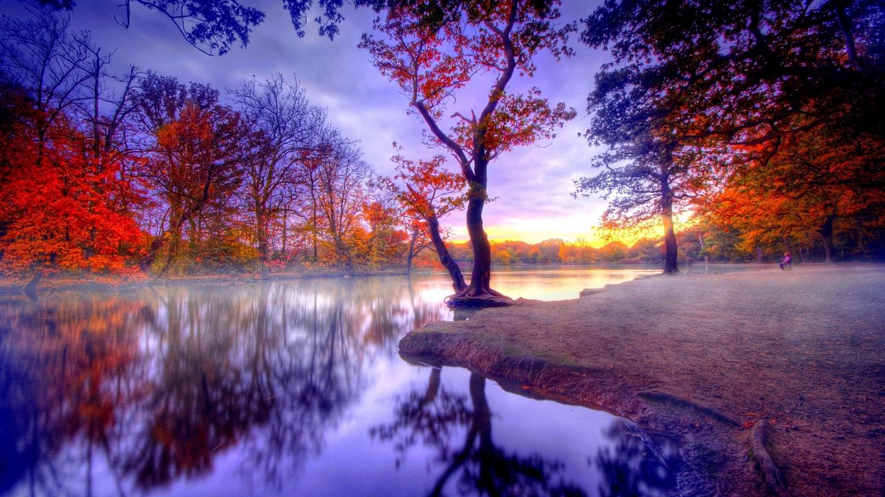 Обои осень, тишина, деревья, озеро