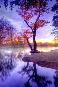 Превью обои осень, тишина, деревья, озеро