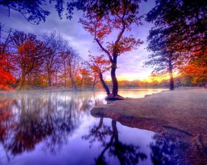Превью обои осень, тишина, деревья, озеро
