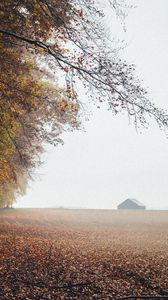 Превью обои осень, туман, поле, опавшая листва, дома