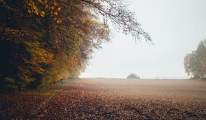 Превью обои осень, туман, поле, опавшая листва, дома