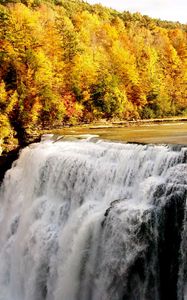 Превью обои осень, водопад, лес, природа