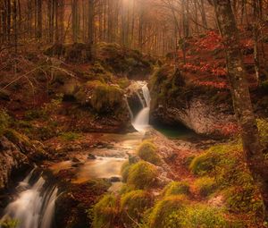 Превью обои осень, водопад, ручей, лес