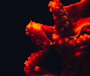Превью обои осьминог, щупальцы, красный, подводный мир