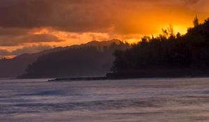 Превью обои остров, деревья, море, солнце, природа