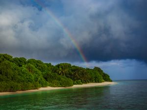 Превью обои остров, деревья, море, океан, радуга