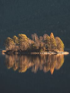 Превью обои остров, деревья, озеро, вода, природа