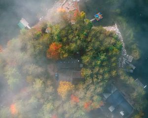 Превью обои остров, деревья, туман, вид сверху