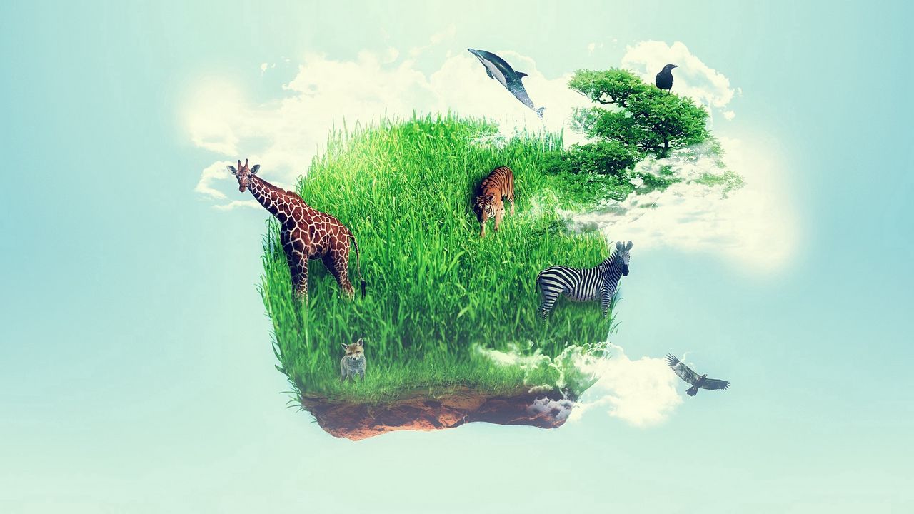 Обои остров, трава, жираф, животные, воображение