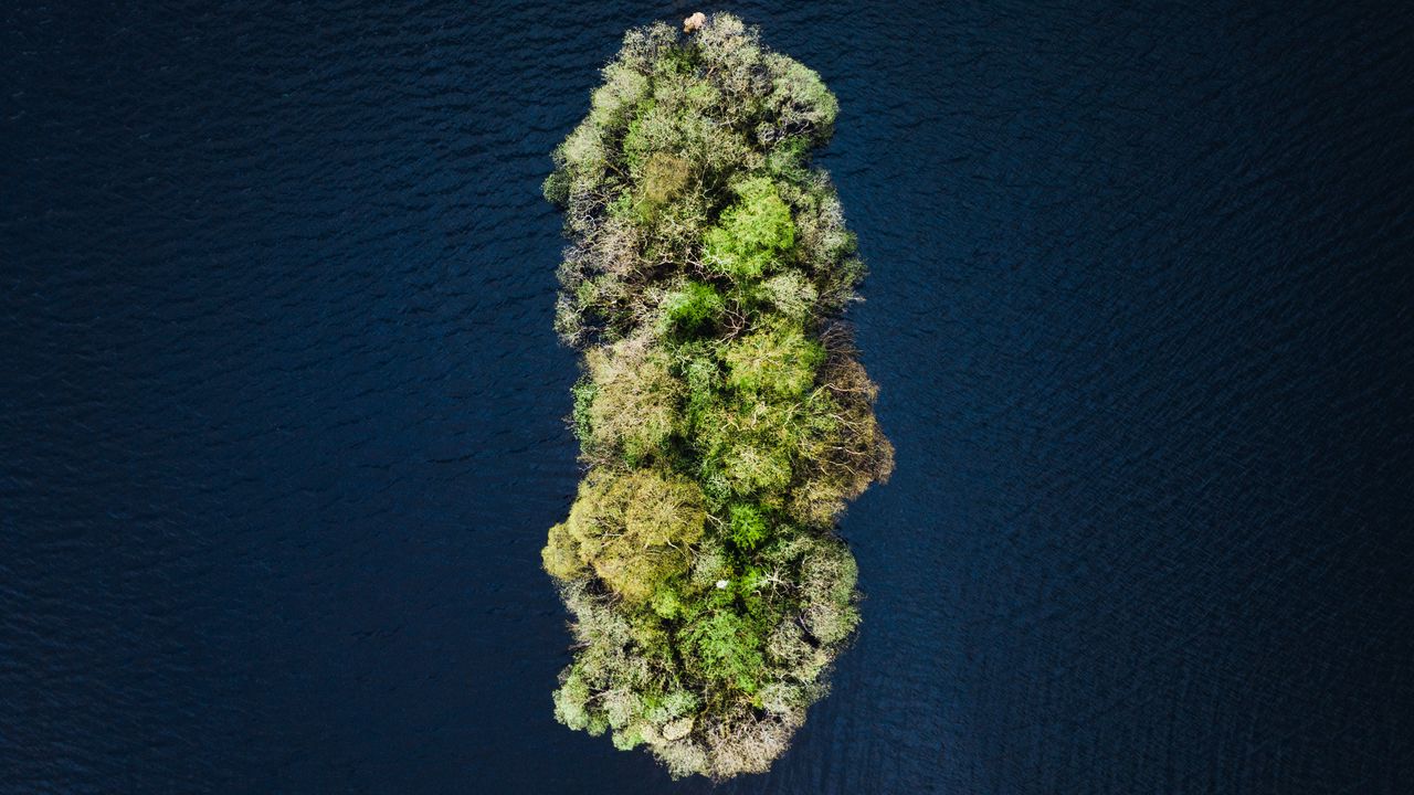 Обои остров, вода, вид сверху, деревья, верхушки