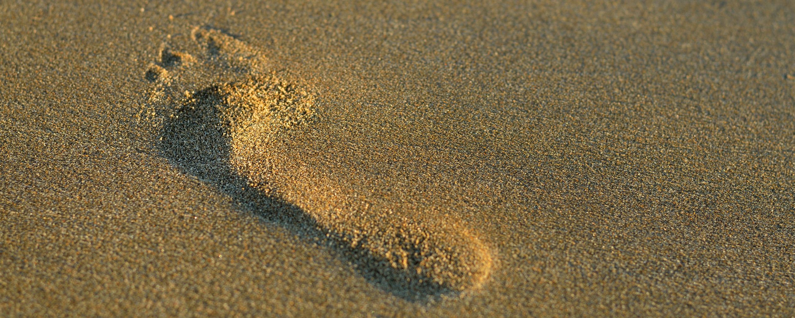 2560x1024 Обои отпечаток, нога, песок, минимализм
