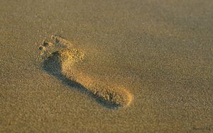 Превью обои отпечаток, нога, песок, минимализм