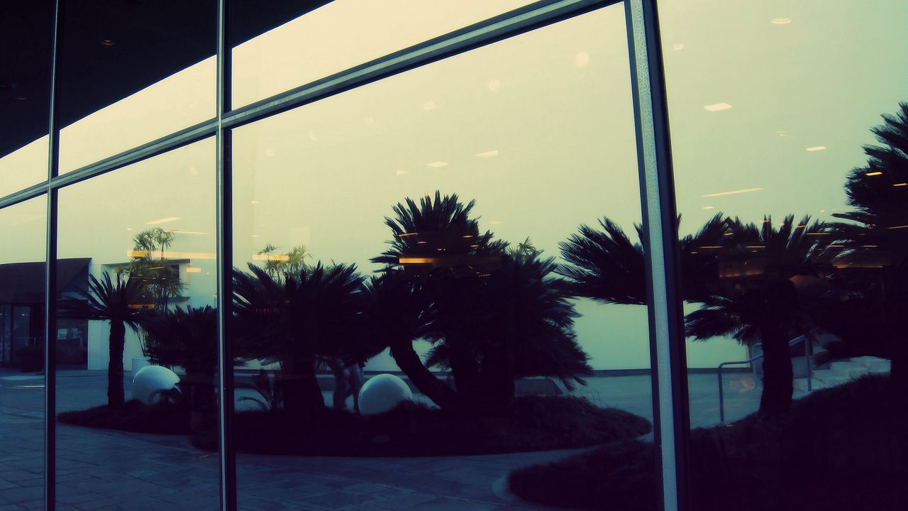 Обои отражение, пальмы, стекло, вечер, здание