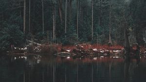 Превью обои озеро, берег, деревья, отражение