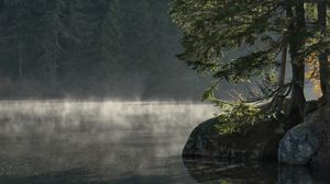 Превью обои озеро, берег, деревья, туман, вода