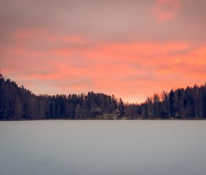 Превью обои озеро, берег, лес, дома, закат, сумерки