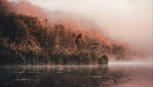 Превью обои озеро, берег, туман, утро, пейзаж