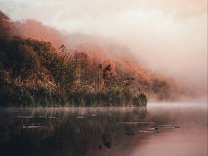 Превью обои озеро, берег, туман, утро, пейзаж
