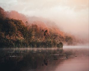 Превью обои озеро, берег, туман, утро, пейзаж