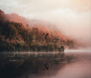 Превью обои озеро, берег, туман, утро, пейзаж