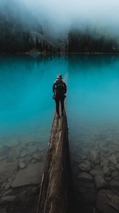 Превью обои озеро, бревно, человек, вода, природа