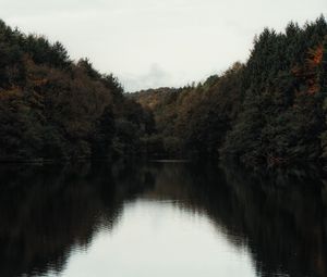 Превью обои озеро, деревья, берег, вода, пейзаж