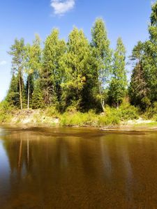 Превью обои озеро, деревья, бревна, под водой, солнечно, лето