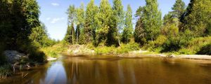 Превью обои озеро, деревья, бревна, под водой, солнечно, лето