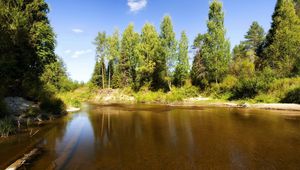 Превью обои озеро, деревья, бревна, под водой, солнечно, лето