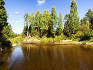 Превью обои озеро, деревья, бревна, под водой, солнечно, лето