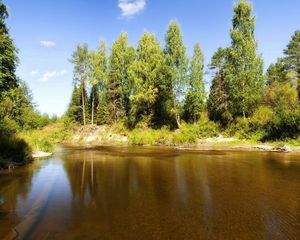 Превью обои озеро, деревья, бревна, под водой, солнечно, лето